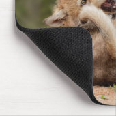 グレー·ウルフ·パップズ·ブレスト マウスパッド (コーナー)