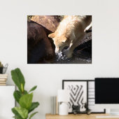 グレー・ウルフ・ポスター ポスター (ホームオフィス)