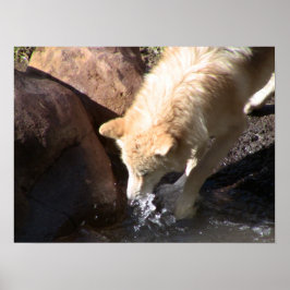 グレー・ウルフ・ポスター ポスター