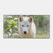 グレー・ウルフ、美しい犬の写真 デスクマット (正面)