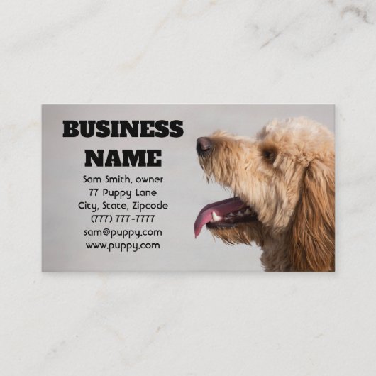 グレー·ゴルデンドル·ドッグ 名刺 (正面)