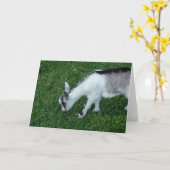 グレー・ザ・ナニー・キッド カード (黄色い花)