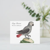 グレー・パロット - Psittacus erithacus ポストカード (スタンド正面)