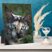 グレー ブラウン 白猫 緑の目 フォトプラーク (側面)