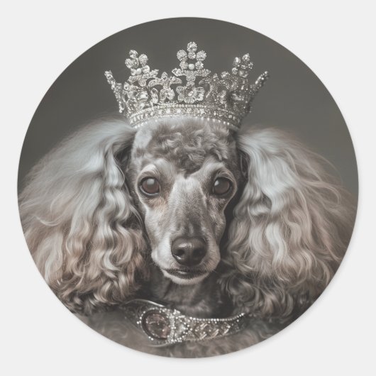 グレー・プードルがプリンセス ラウンドシール (正面)