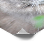 グレー ポスター (角)