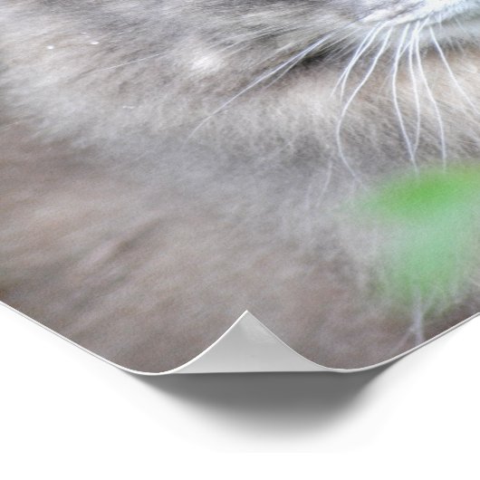 グレー ポスター (角)