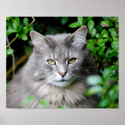 グレー ポスター (正面)