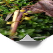 グレー・モレル・ポスター ポスター (角)