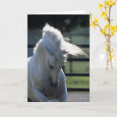 グレーAndalucian Buckingヘッドショットバックライト カード (黄色い花)