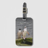 グレーGentoo Penguinエディンバラ動物園スコットランド ラゲッジタグ (正面縦)