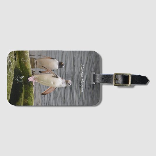 グレーGentoo Penguinエディンバラ動物園スコットランド ラゲッジタグ (正面横)