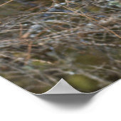 グレ素晴らしイ飛んでいるク ポスター (角)