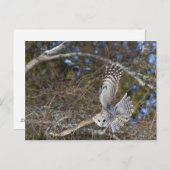 グレ素晴らしイ飛んでいるク ポストカード (正面/裏面)