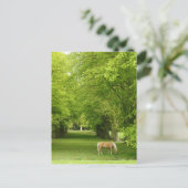 グロスターシャー(英国) ポストカード (スタンド正面)