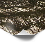 グロッシーポスター ポスター (コーナー)