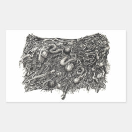 グロテスク番号1、フラット 長方形シール