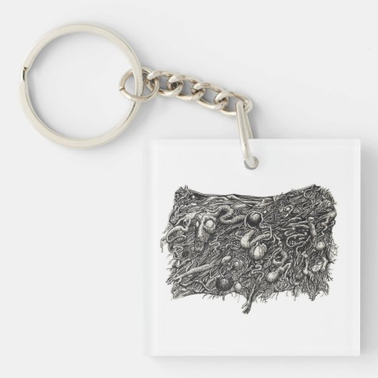 グロテスク第1位、ブライアン・ベンソン著 キーホルダー (正面)