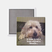 グロドール磁石 マグネット (正面/裏面)