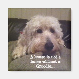 グロドール磁石 マグネット