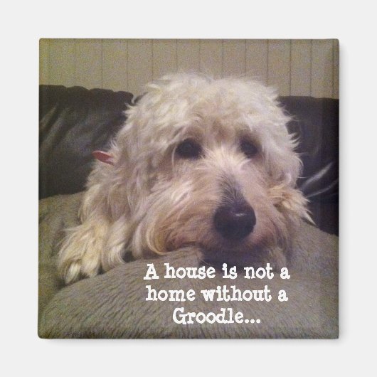 グロドール磁石 マグネット (正面)