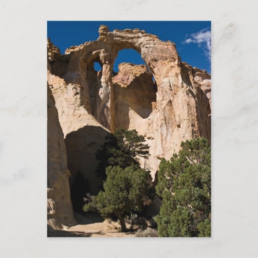 グロブナーアーチ ポストカード (正面)