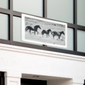 グロメットが付いているユタの旗の野生の馬 横断幕 (ビルの外側)