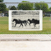 グロメットが付いているユタの旗の野生の馬 横断幕 (インサイチュ)