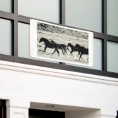 グロメットが付いているユタの旗の野生の馬 横断幕 (ビルの外側)