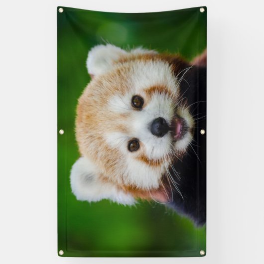 グロメットが付いているレッサーパンダの旗 横断幕 (縦)