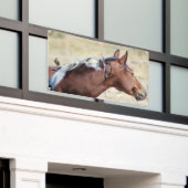 グロメット付き鳥幟付き野生ピント 横断幕 (ビルの外側)