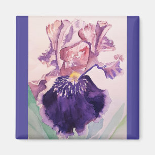 グロリオウズパープルアイリス絵画ズ水彩色 マグネット