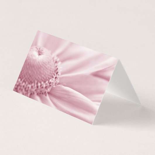 グロリオサデイジーマクロカード (正面)