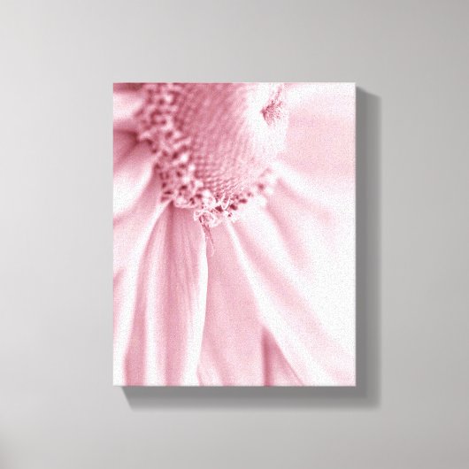 グロリオサデイジーマクロ キャンバスプリント (正面)