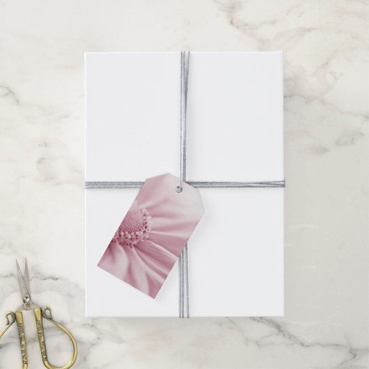 グロリオサデイジーマクロ ギフトタグ (より糸付き)