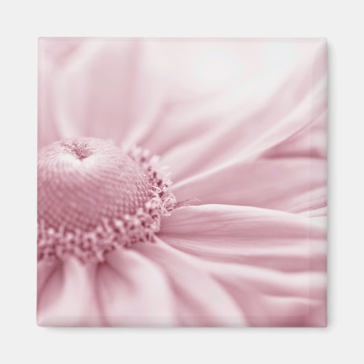 グロリオサデイジーマクロ マグネット (正面)