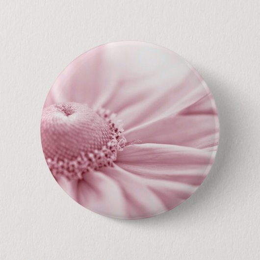 グロリオサデイジーマクロ 缶バッジ (正面)