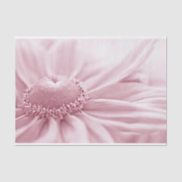 グロリオサデイジーマクロ 薄葉紙