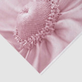 グロリオサデイジーマクロ 薄葉紙 (詳細)