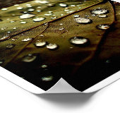 グローのドロップ ポスター (角)