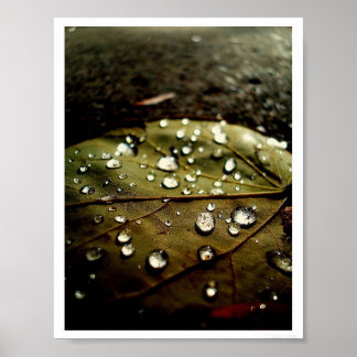 グローのドロップ ポスター