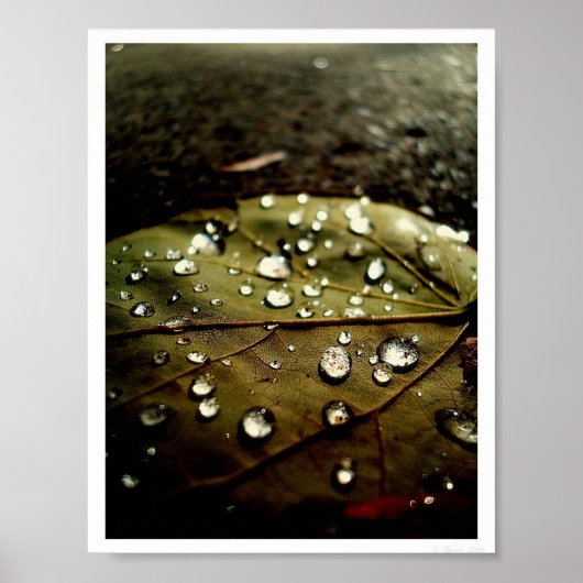 グローのドロップ ポスター (正面)