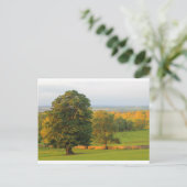 グローズヒル ポストカード (スタンド正面)