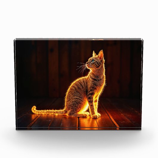 グロータビーモダンビー猫ブルーアイズファンタジー フォトブロック (正面)