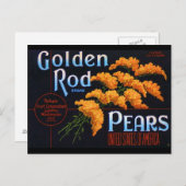 グローデンロッド梨 ポストカード (正面/裏面)