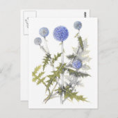 グローブアザミコレクション ポストカード (正面/裏面)