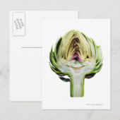 グローブアーティチョークハーフカット ポストカード (正面/裏面)