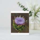 グローブアーティチョーク、Cynara Cardunculus、花。 ポストカード (スタンド正面)