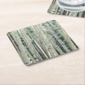 グローブオブコロラド《植物》アスペンツリーズコースター スクエアペーパーコースター (アングル)