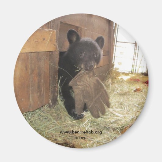 グローブ付きカパルア – マグネット (正面)